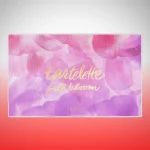خرید پالت سایه تارت Full Bloom اورجینال - دو ایت لیدی
