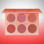 خرید پالت رژگونه 6 رنگ شیگلم - فروشگاه دو ایت لیدی